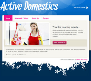 Wattle Web Design Pic 3 - Active Domestics