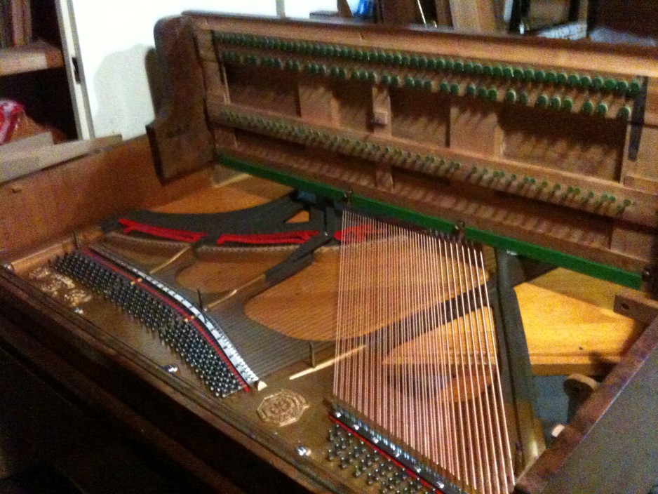 Emanuel Rey Mobile Piano Builder & Technician Pic 1 - Upright piano restringing Rnisch