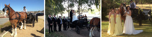 Perth Wedding Hire Services Pic 3