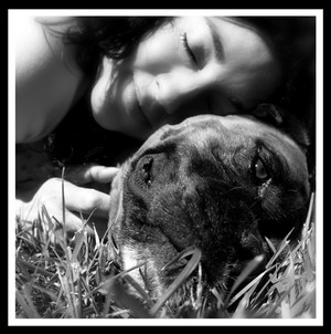 Ambience Artistique Photography Pic 4 - pet portraiture