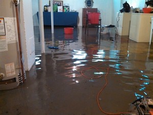 Queensland Flood Fire Mould Solutions Pic 2