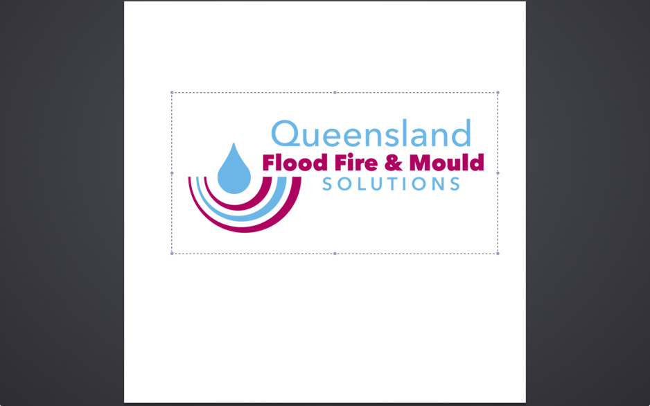 Queensland Flood Fire Mould Solutions Pic 1 - Company Logo