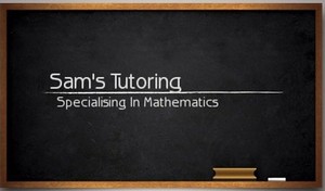 Sam's Tutoring Pic 2