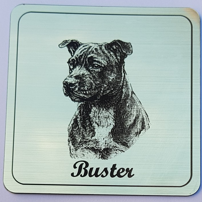 Laser Engraving & Handmade Gifts Pic 1 - Engrave your pets name on this beautiful Brushed Gold Coaster