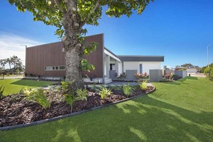 Paragon Gardens Pic 5 - Kings Pride Soft Leaf Buffalo Fairways Sales Office