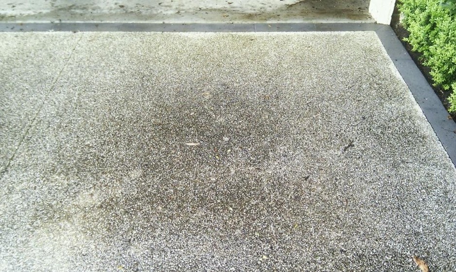 Greensborough Grass, Glass & Grime Pic 1 - Before