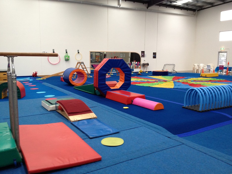 Gymsports Academy of Movement & Excellence Pic 1