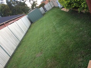 Junya's mowing Pic 2 - A very happy customer