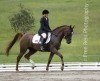 Global Entries Online Pty Ltd Pic 1 - Dressage