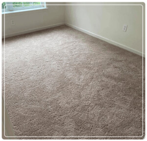 Carpet Cleaning Mount Waverley Pic 4