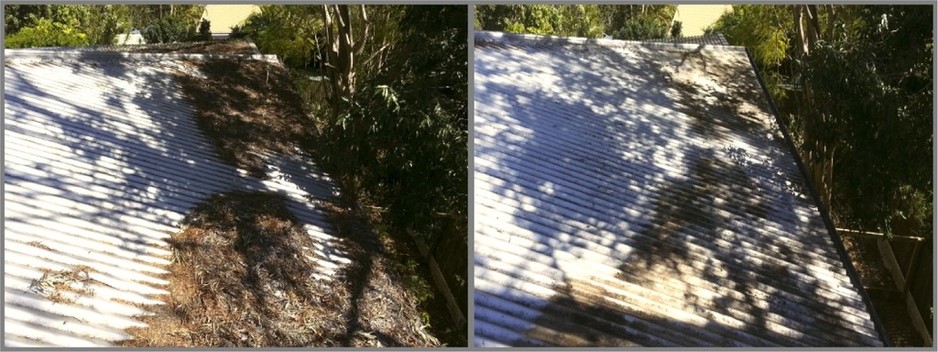 Solar Panel & Gutter Cleaning Pic 2