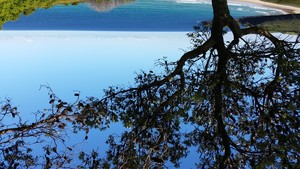 Shell Cove Yoga Pic 2