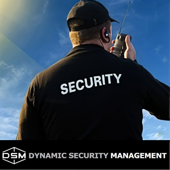 Dynamic Security Management Pty Ltd Pic 1