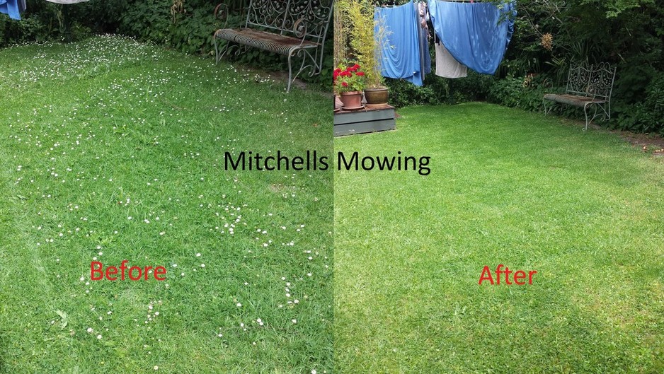 Mitchells lawn Mowing Pic 1