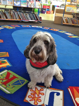 Paw Behaviour Dog Training Pic 4 - Delta Therapy Dogs