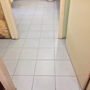 F & T Carpet & Tile Cleaning Pic 3