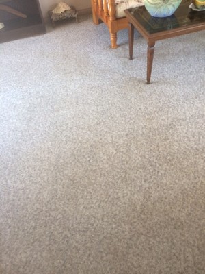 F & T Carpet & Tile Cleaning Pic 2