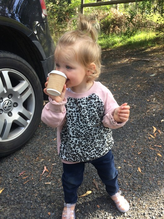 Waterfall Gully Cafe Pic 2 - Enjoying her baby chino with marshmallows 128149