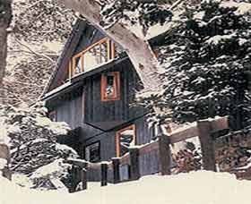 Chalet Edelweiss Pic 1 - chalet