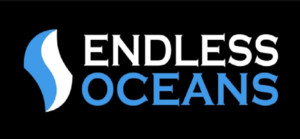 Endless Oceans Media Pic 2