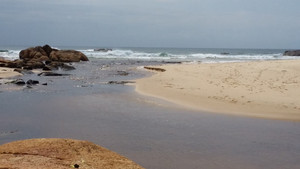 Horseshoe Bay Beach Pic 2 - Great little beach for the kids to have a splash