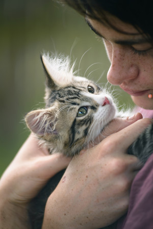 Passionfruit Photography Pic 3 - Lynx and Damien