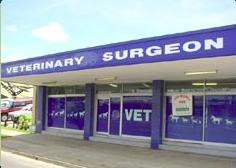 Balaclava Veterinary Surgery Pic 1 - Balaclava Veterinary Surgery Cairns