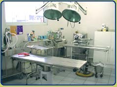 Balaclava Veterinary Surgery Pic 3 - Theatre Balaclava Veterinary Surgery