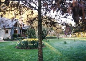 Eucalypt Mist Traditional Bed & Breakfast Pic 1 - Garden Eucalypt Mist