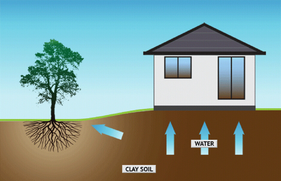 Root Barrier Pic 1