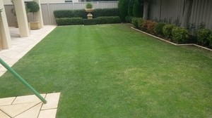 JB's Lawn and Garden Pic 2