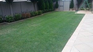 JB's Lawn and Garden Pic 3