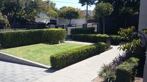 JB's Lawn and Garden Pic 4