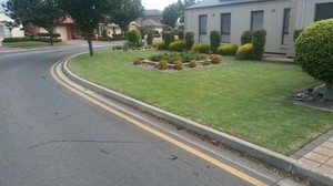 JB's Lawn and Garden Pic 5