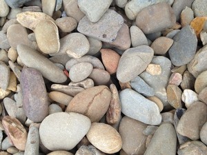 Mordialloc Garden Supplies Pic 2 - River Rockss other assorted pebbles