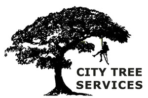 City Tree Services Pic 2