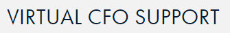 Virtual CFO Support Pic 2