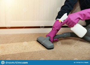 Eco Friendly Carpet Cleaning Sydney Pic 2