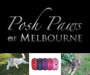 Posh Paws of Melbourne Pic 1