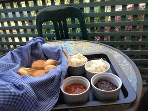 SunnyBrook Bed & Breakfast Pic 5 - The devonshire tea on the deck was a beautiful touch