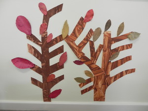 Nurture and Nature Private Preschool Pic 3 - Our forrest