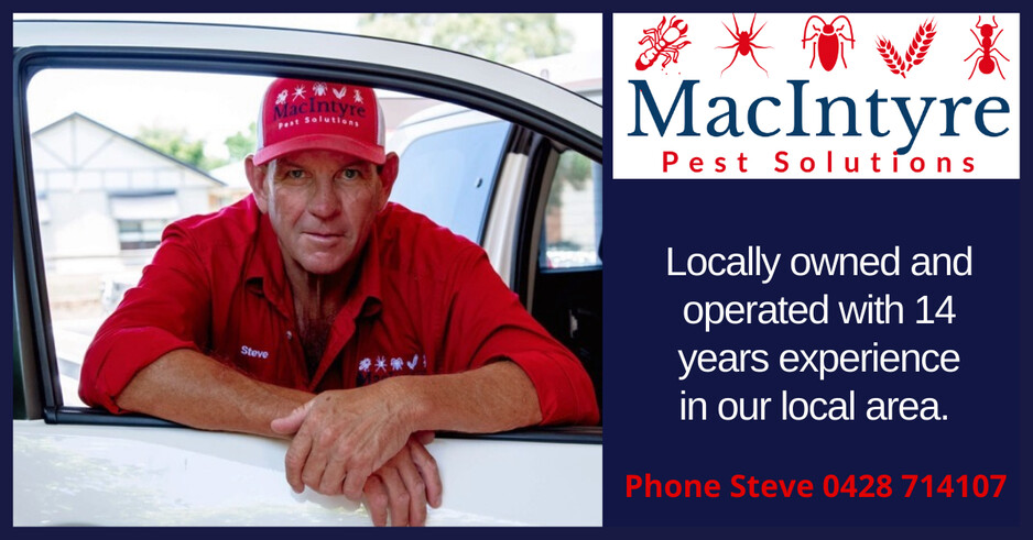 MacIntyre Pest Solutions Pic 1 - Steve Toohey is your local expert in pest control Goondiwindi