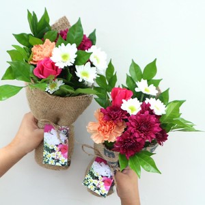 Poco Posy Pic 4 - 30 delivered to Brisbane Ipswich Logan Caboolture