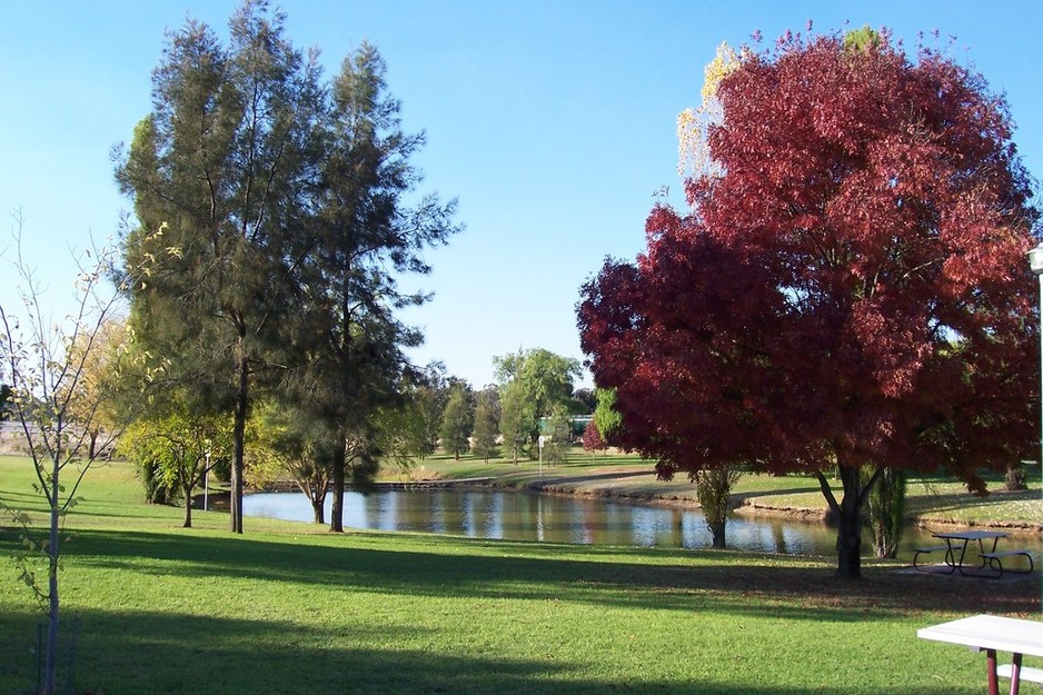 Lockhart Caravan Park Pic 1