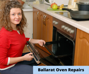 Oven Repairs Ballarat Pic 2 - Blanco oven repairs ballarat