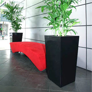 Green Scene Indoor Plant Hire Pic 2 - Large Palms in reception area makes a lasting impression