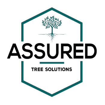 Assured Tree Solutions Pic 1