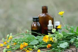 The Holistic Sanctuary & Herbal Clinic Pic 5