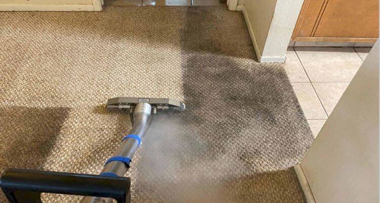 Carpet Cleaning Woollahra Pic 1