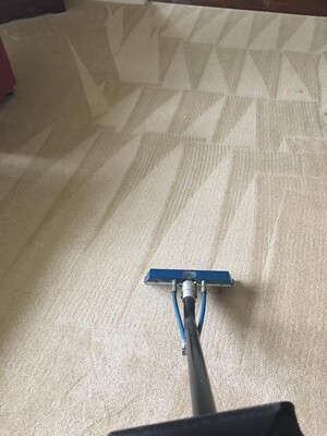 Carpet Cleaning Woollahra Pic 3